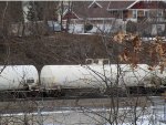 CGTX 26152